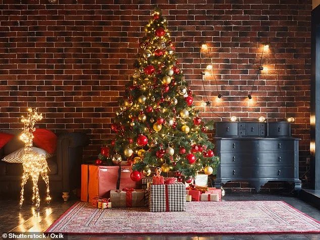 The festive period demands homemakers to wrangle tinsel baubles and fairy lights into a scenic winter wonderland spectacle - and at the heart of it is the beloved Christmas tree Stock image used